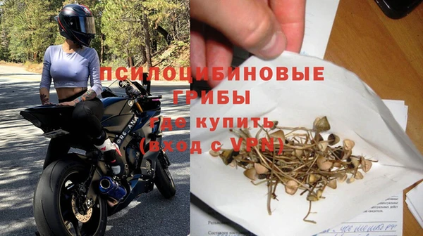 сатива Абаза