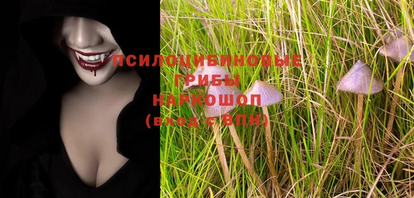 сатива Абаза