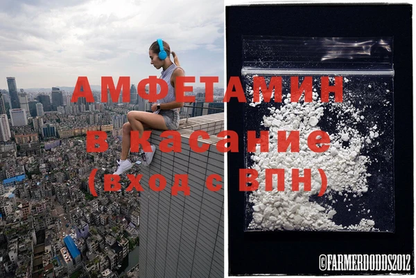 ПСИЛОЦИБИНОВЫЕ ГРИБЫ Абинск