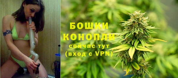 сатива Абаза