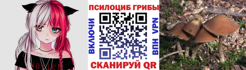 Галлюциногенные грибы Psilocybine cubensis  Костомукша 